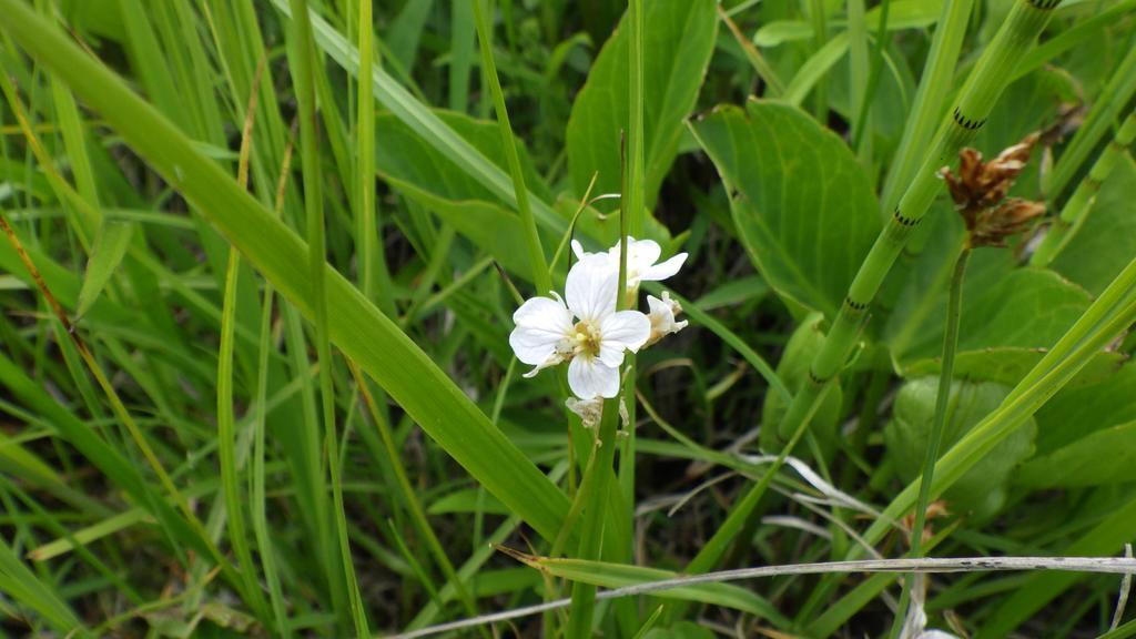 Kiritappuri Vendégház Hokkaido Kültér fotó