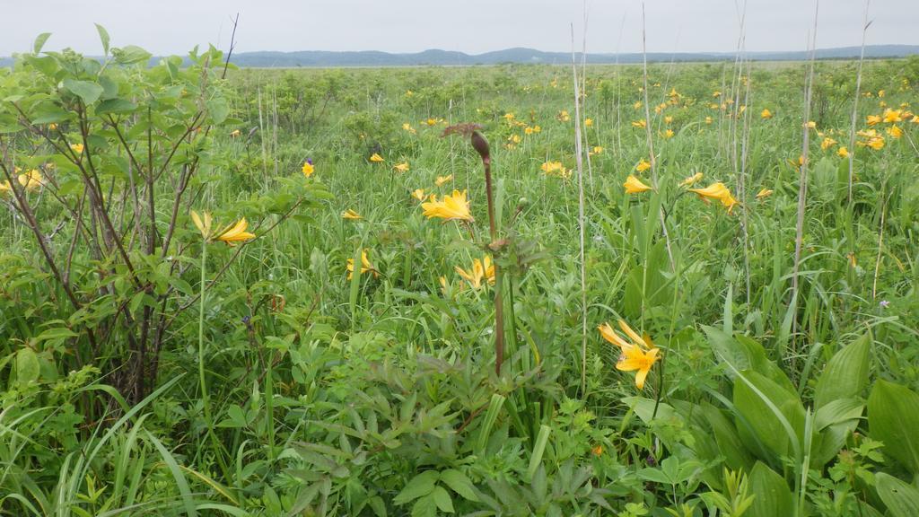 Kiritappuri Vendégház Hokkaido Kültér fotó