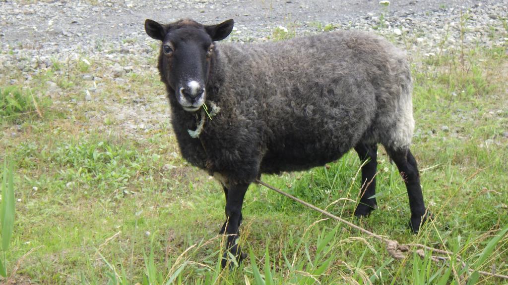 Kiritappuri Vendégház Hokkaido Kültér fotó