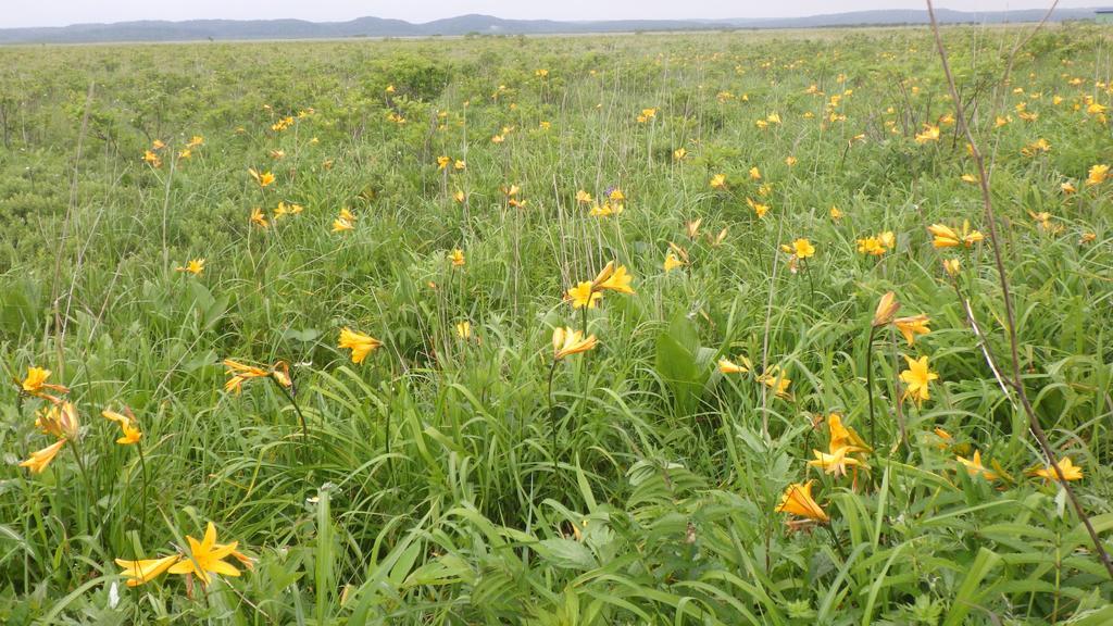 Kiritappuri Vendégház Hokkaido Kültér fotó